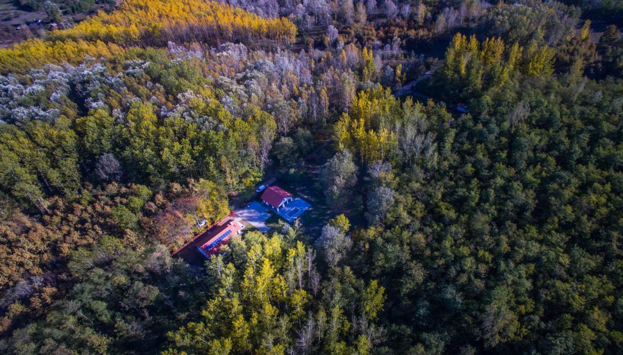 Bagosi Vendeghaz Otel Hajdubagos Dış mekan fotoğraf